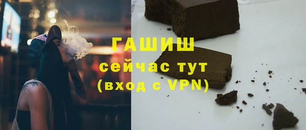МДПВ Снежногорск