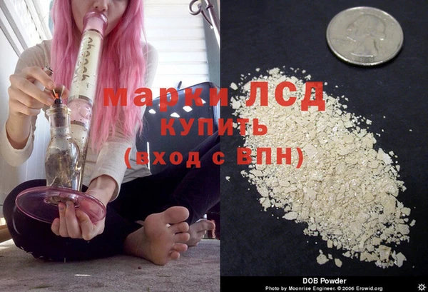 СК Снежинск